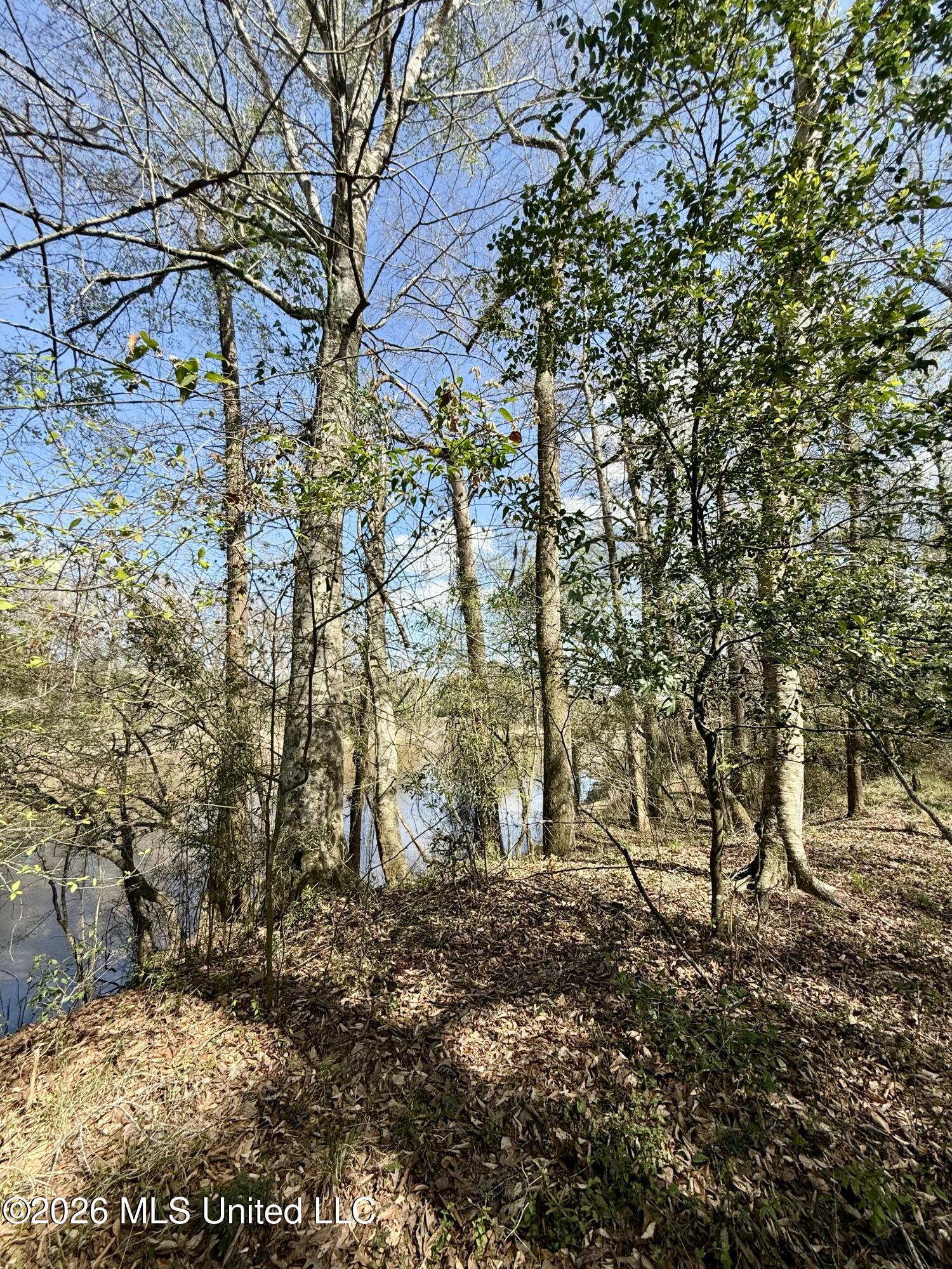 35 Highway 35 Carthage, MS 39051 - Photo 50 of 69 IMG_6489