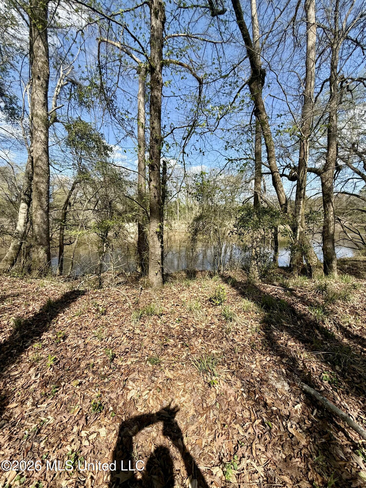 35 Highway 35 Carthage, MS 39051 - Photo 51 of 69 IMG_6492