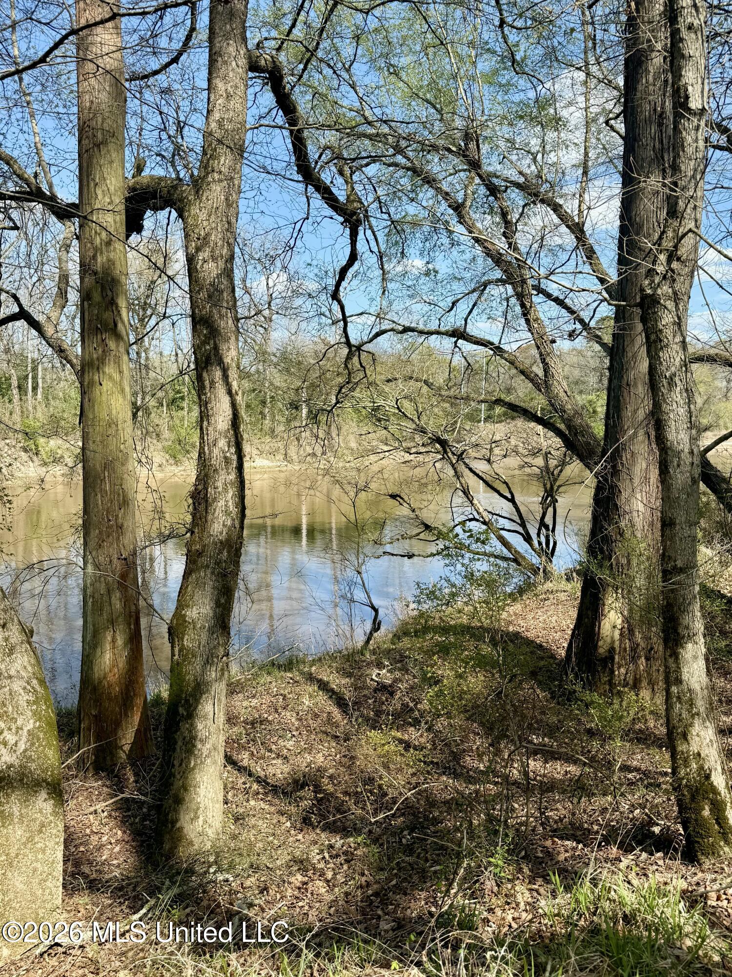 35 Highway 35 Carthage, MS 39051 - Photo 52 of 69 IMG_6494