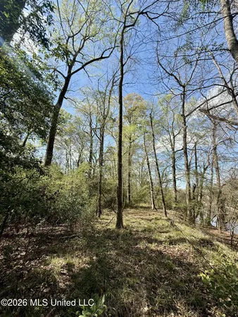 $412,360 | 35 Highway 35, Carthage, MS 39051