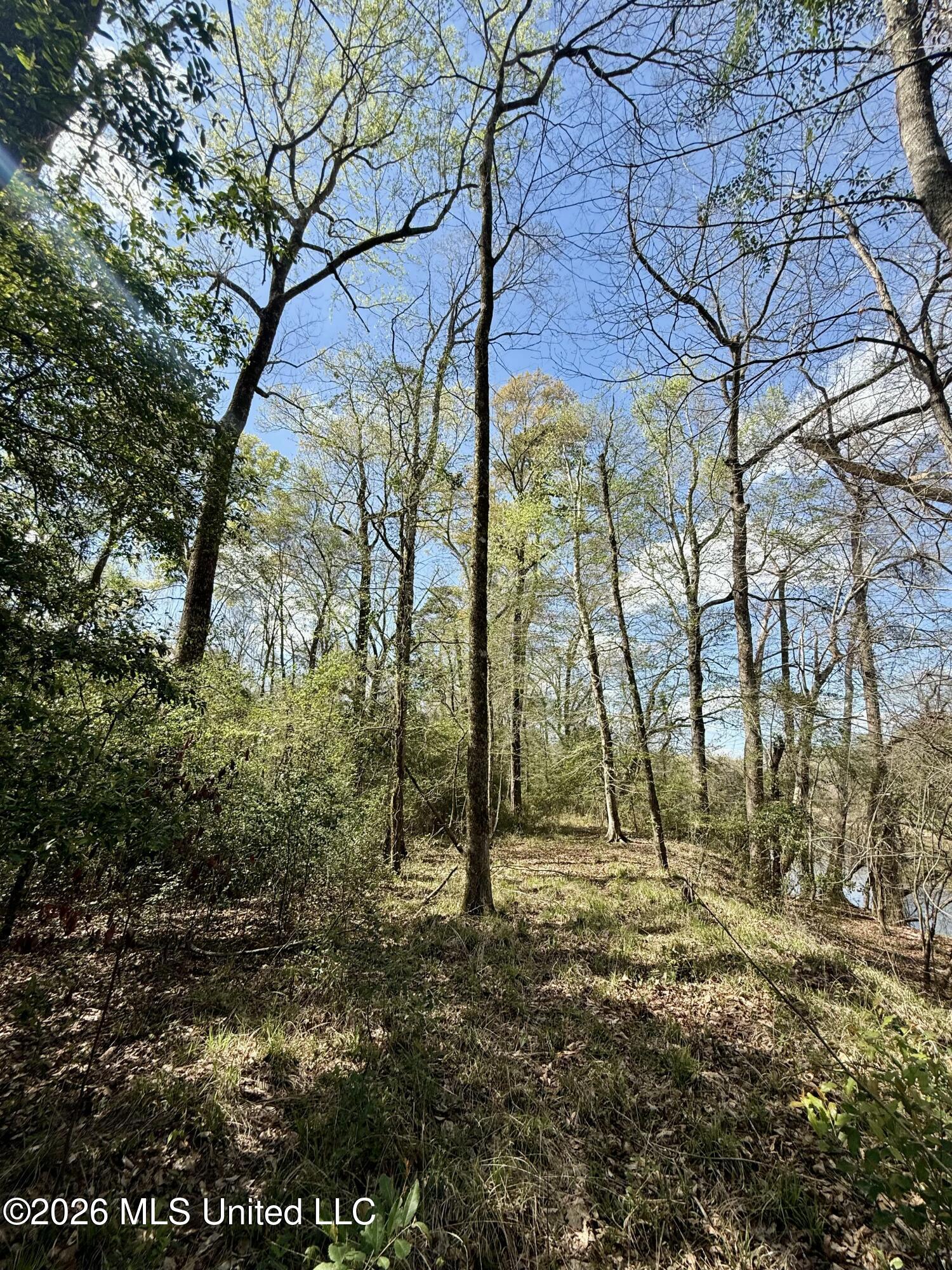 35 Highway 35 Carthage, MS 39051 - Photo 53 of 69 IMG_6495