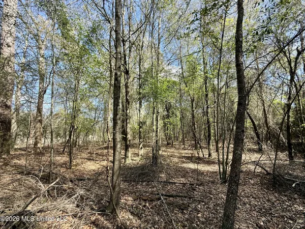 $412,360 | 35 Highway 35, Carthage, MS 39051