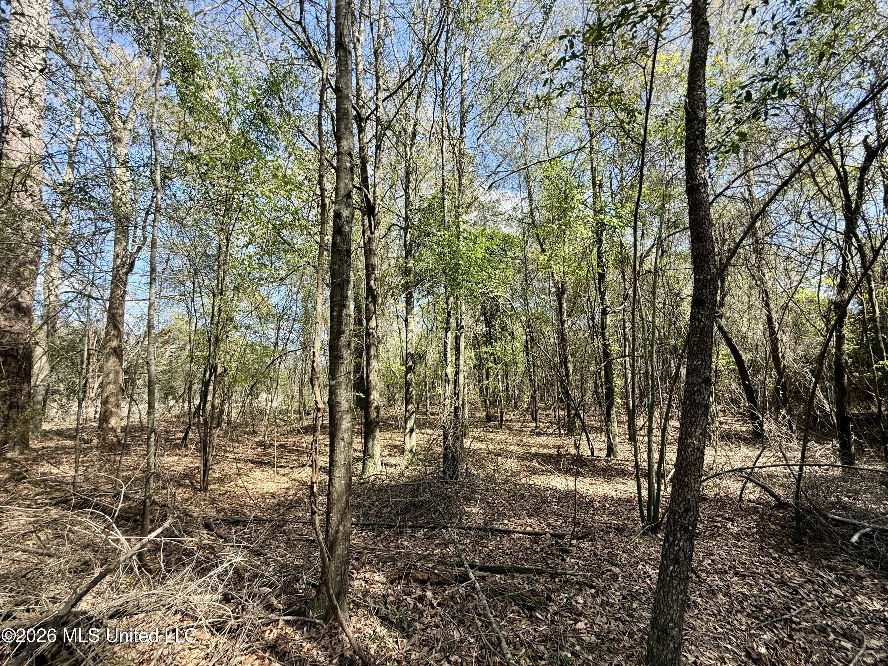 35 Highway 35 Carthage, MS 39051 - Photo 55 of 69 IMG_6500