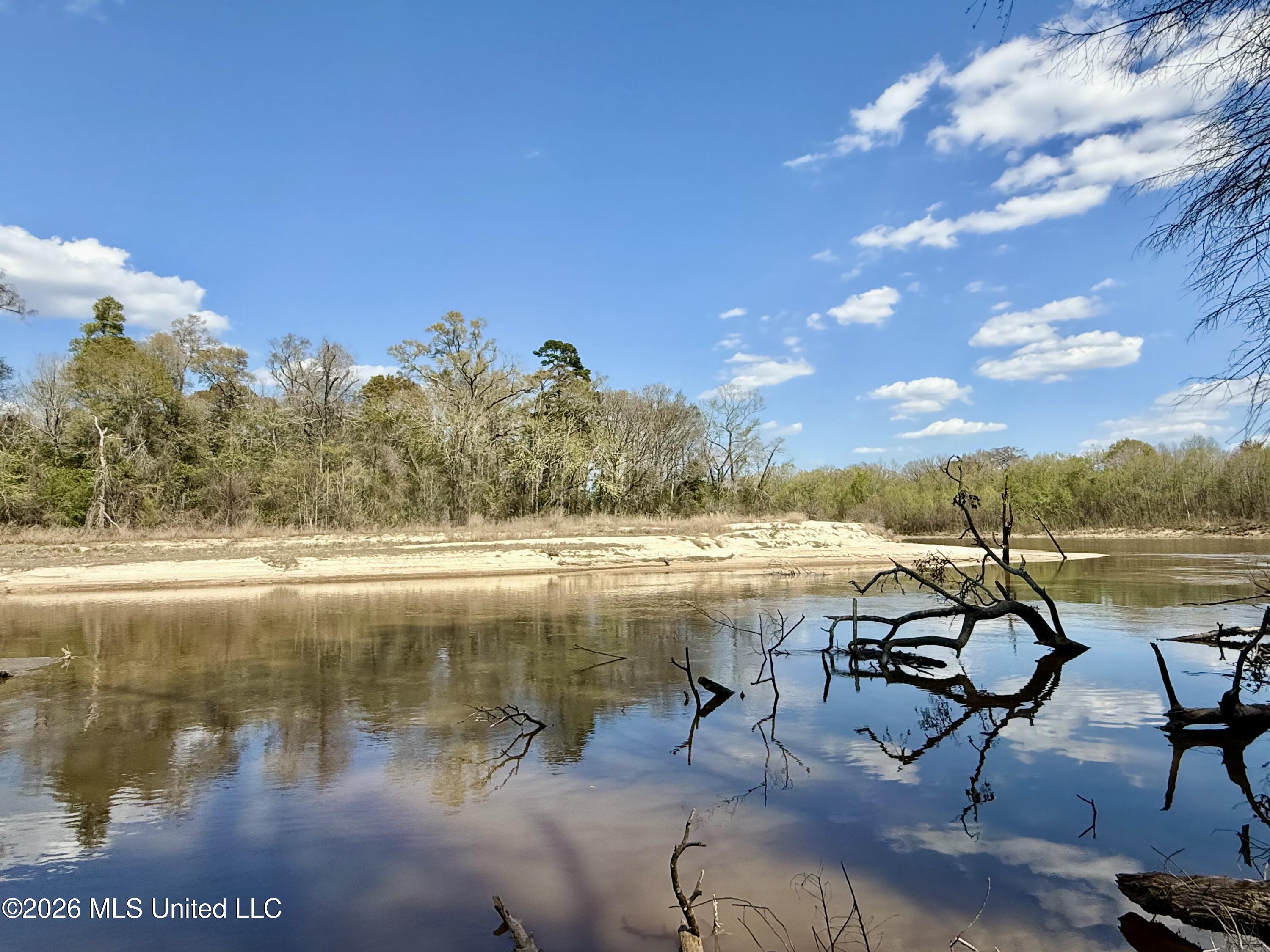 35 Highway 35 Carthage, MS 39051 - Photo 56 of 69 IMG_6501