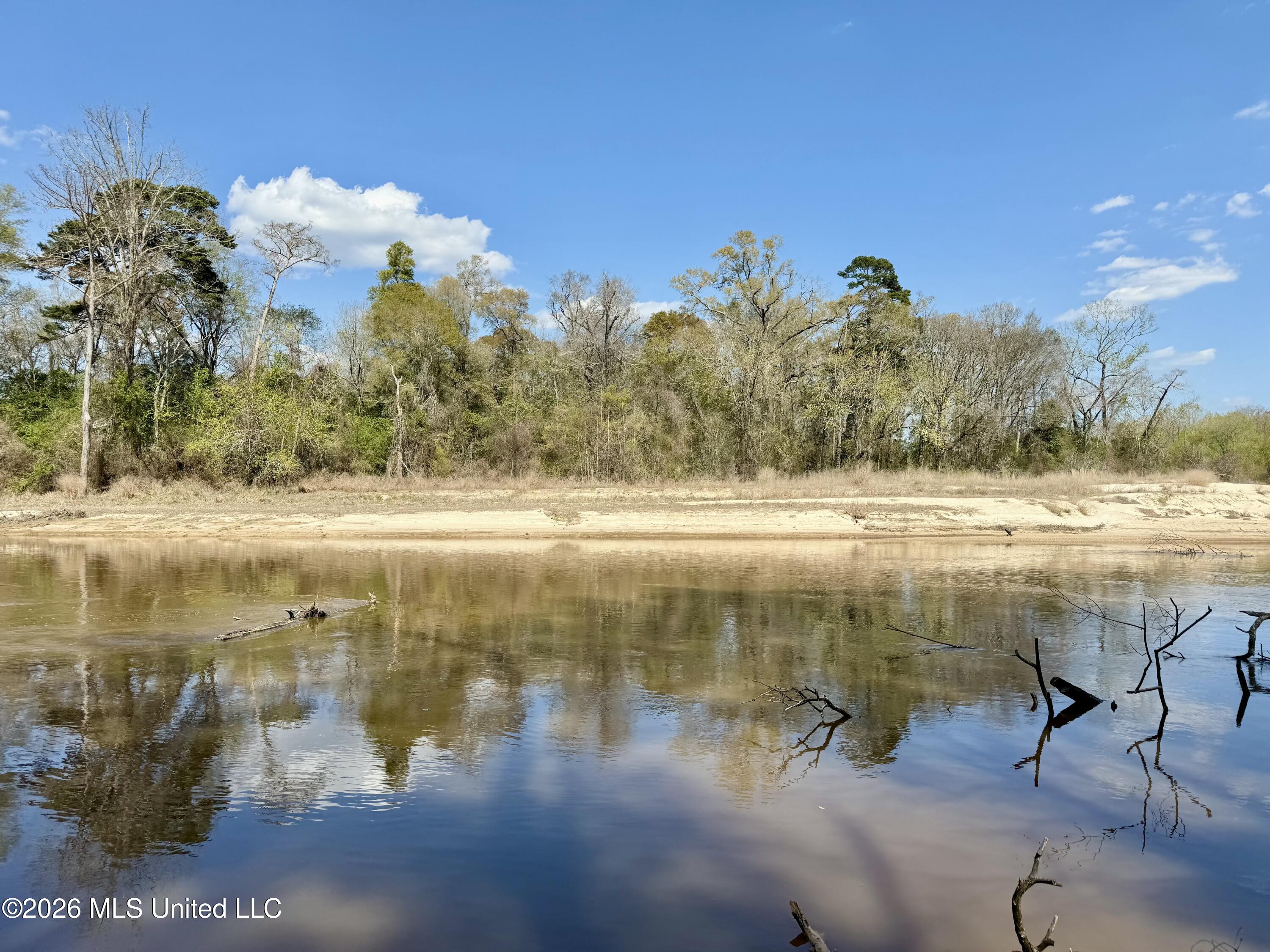 35 Highway 35 Carthage, MS 39051 - Photo 58 of 69 IMG_6503