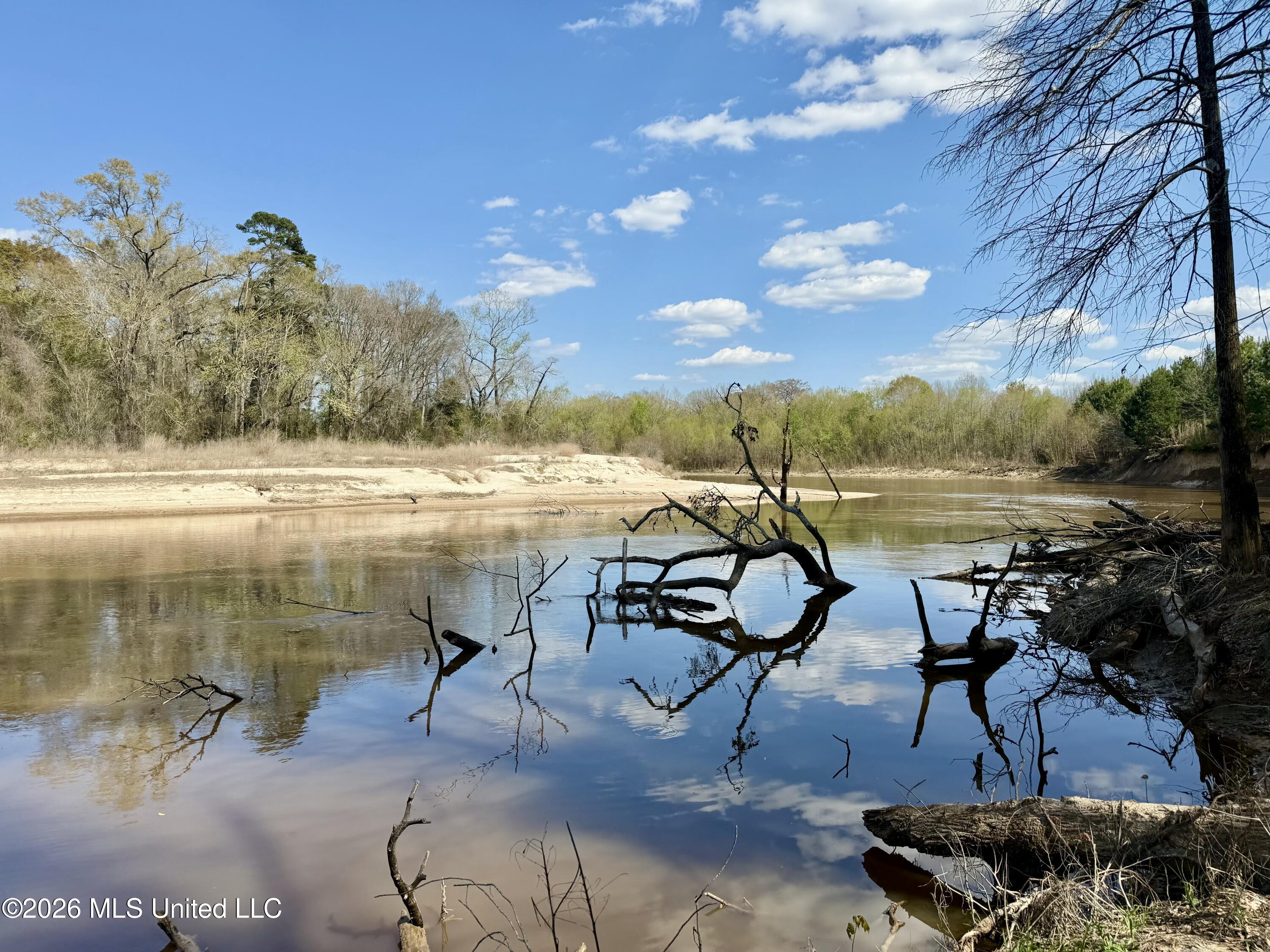 35 Highway 35 Carthage, MS 39051 - Photo 59 of 69 IMG_6504