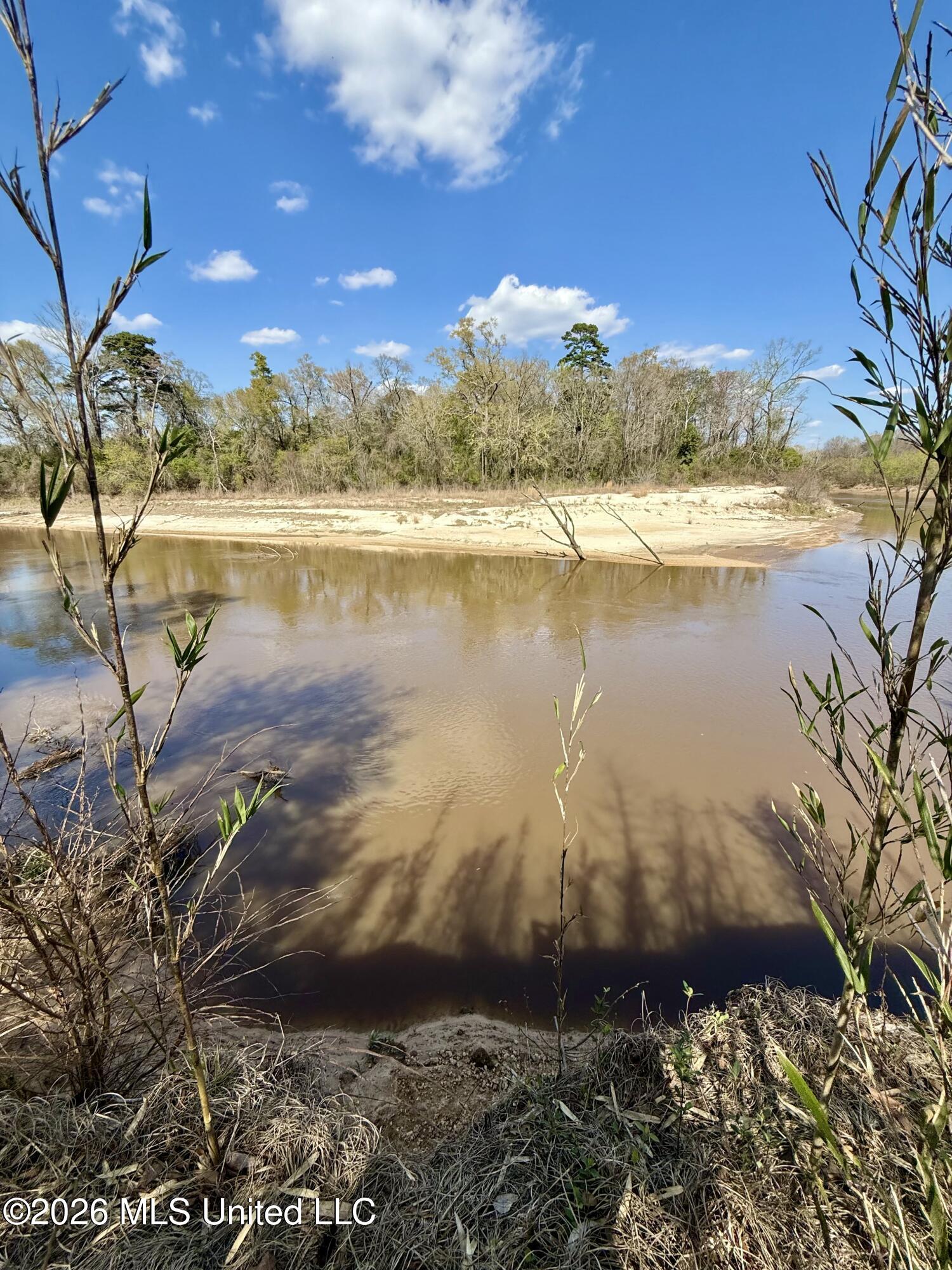 35 Highway 35 Carthage, MS 39051 - Photo 62 of 69 IMG_6510