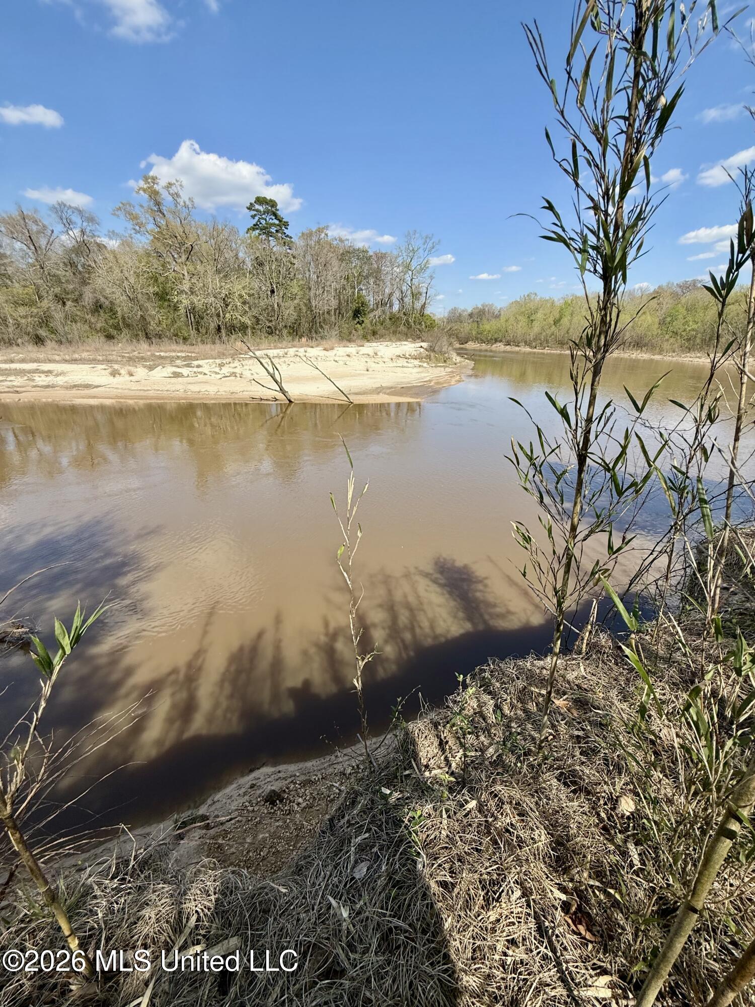 35 Highway 35 Carthage, MS 39051 - Photo 63 of 69 IMG_6511