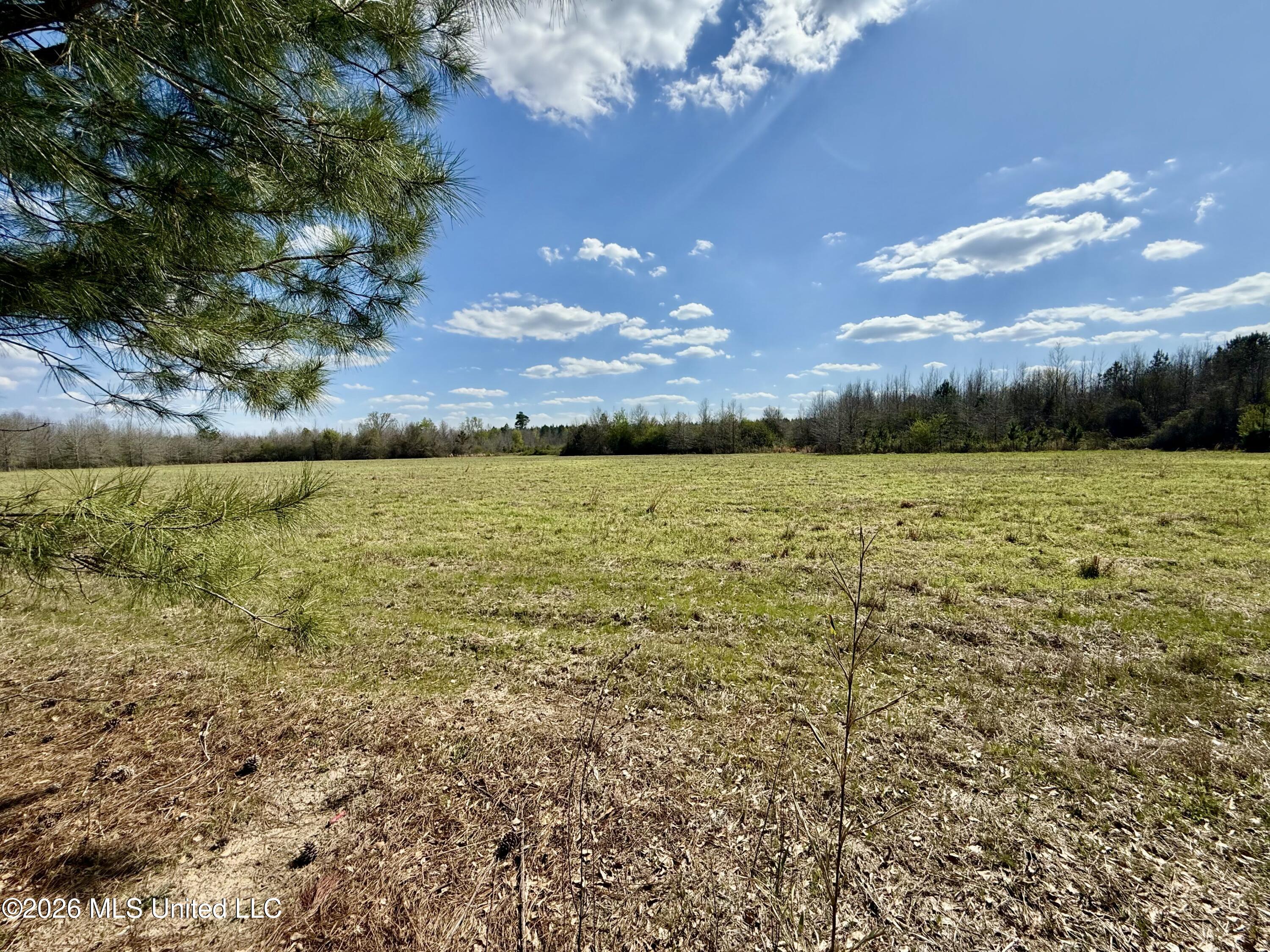 35 Highway 35 Carthage, MS 39051 - Photo 64 of 69 IMG_6512