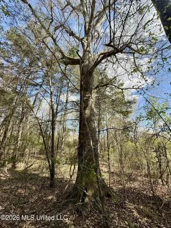 $412,360 | 35 Highway 35, Carthage, MS 39051