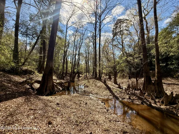 $412,360 | 35 Highway 35, Carthage, MS 39051