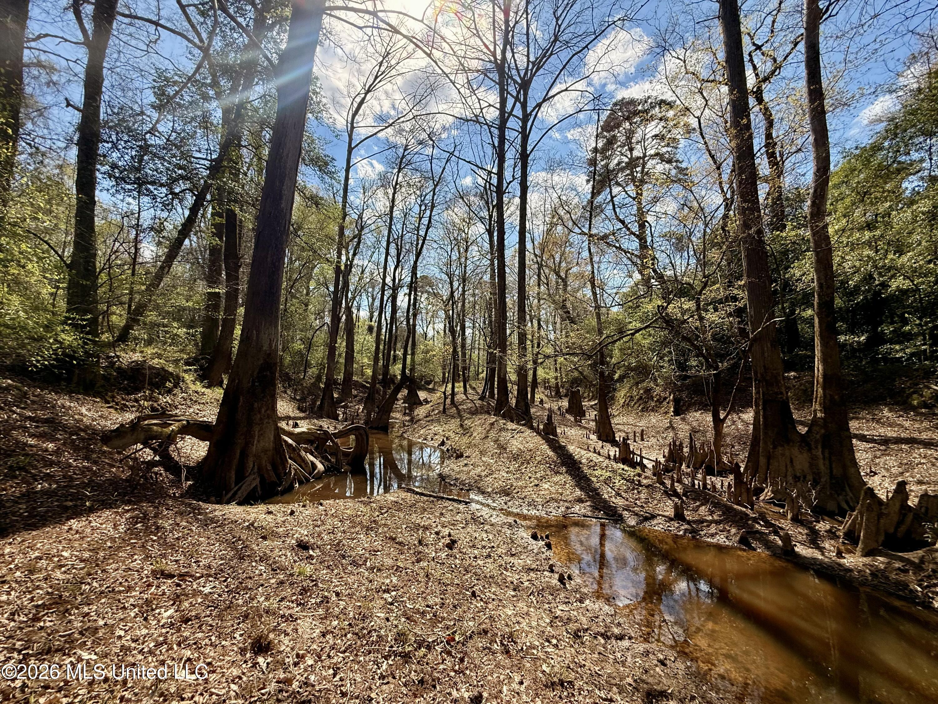 35 Highway 35 Carthage, MS 39051 - Photo 8 of 69 IMG_6464