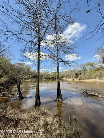 $412,360 | 35 Highway 35, Carthage, MS 39051