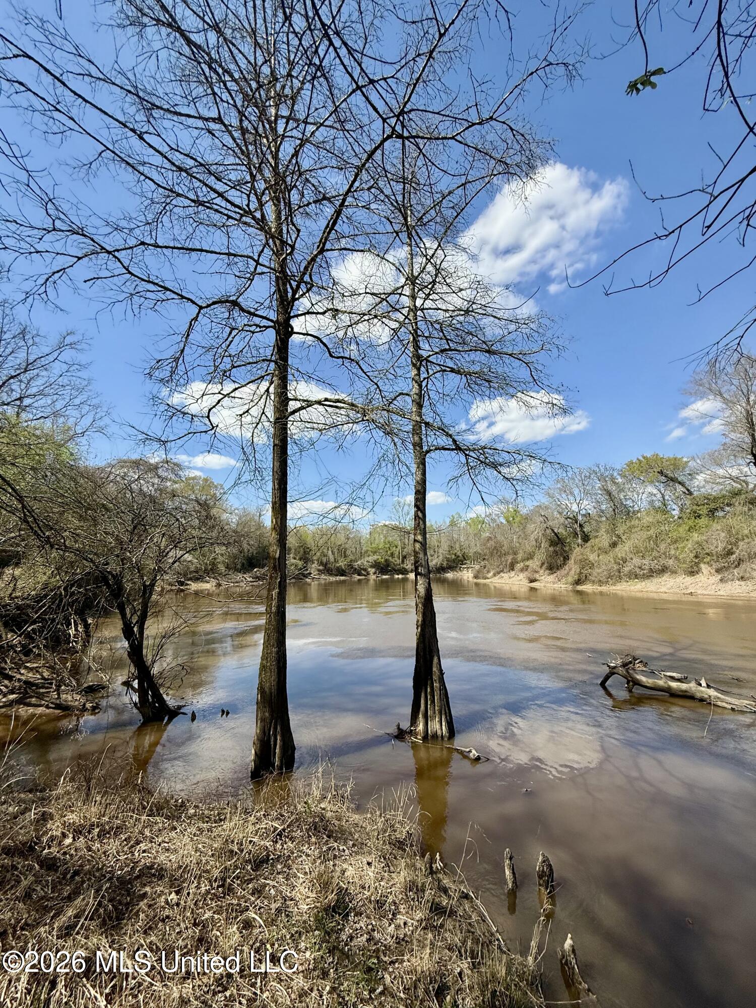35 Highway 35 Carthage, MS 39051 - Photo 10 of 69 IMG_6484