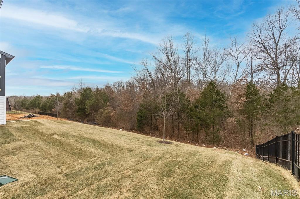 837 Memsie Drive O'Fallon, MO 63368 - Photo 37 of 46