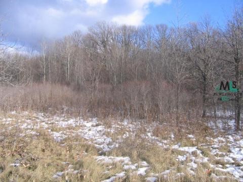 6858 Bricker Road Avoca, MI 48006 - Photo 2 of 6 877153-1.JPG