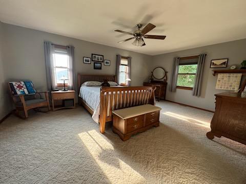 2604 Lyon Lincoln Road Arco, MN 56113 - Photo 17 of 66 Gallery Image 17