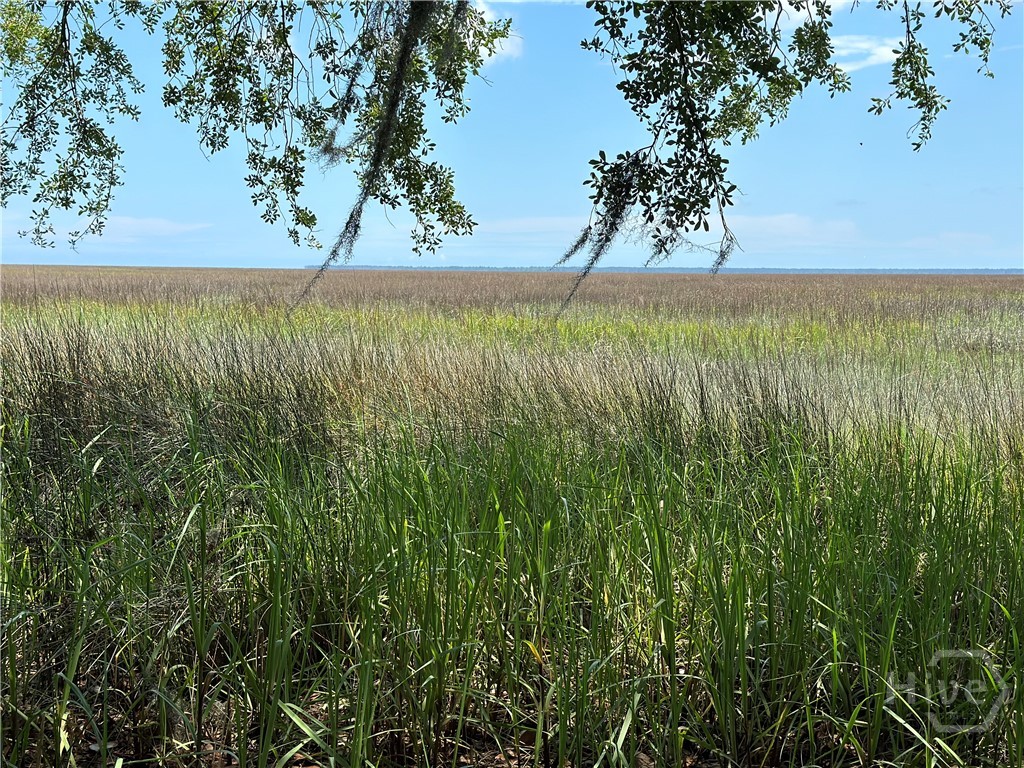 Lot 1 Youman's Road Midway, GA 31320 - Photo 1 of 10