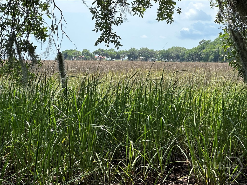 Lot 1 Youman's Road Midway, GA 31320 - Photo 2 of 10