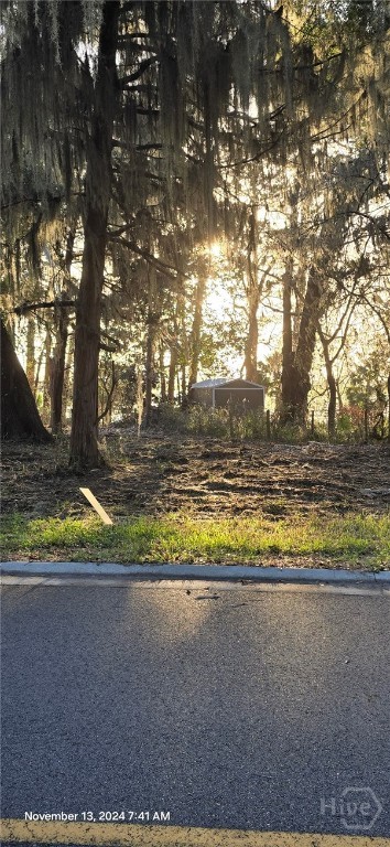 Lot 1 Youman's Road Midway, GA 31320 - Photo 3 of 10