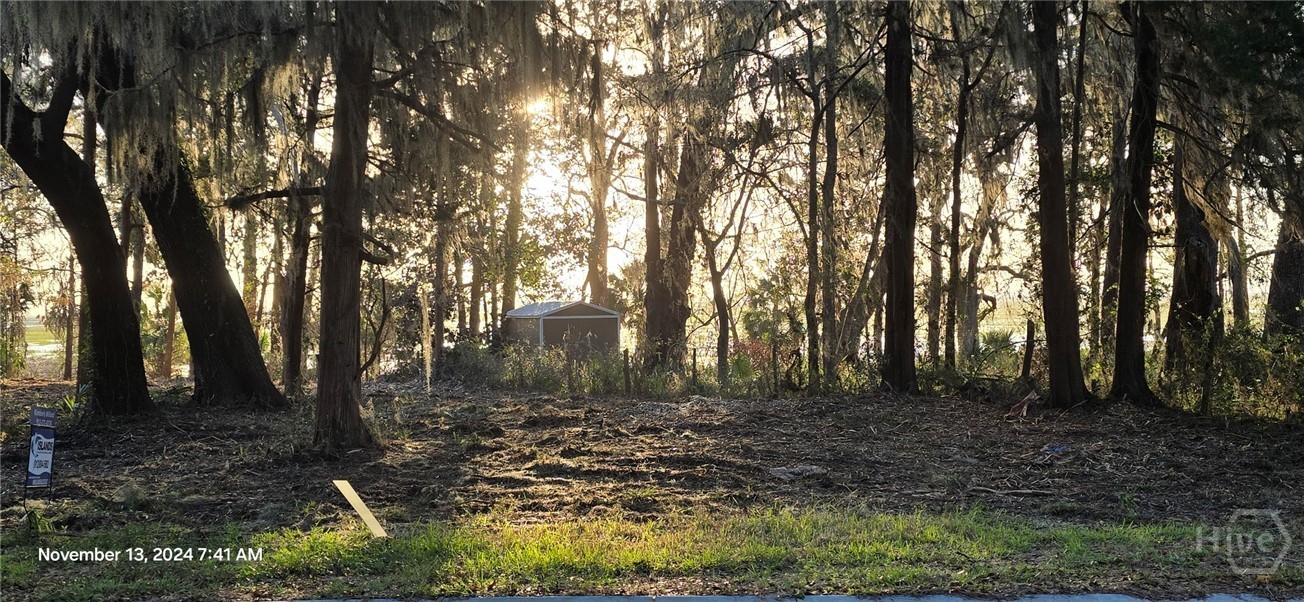 Lot 1 Youman's Road Midway, GA 31320 - Photo 4 of 10