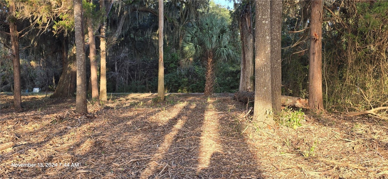 Lot 1 Youman's Road Midway, GA 31320 - Photo 5 of 10