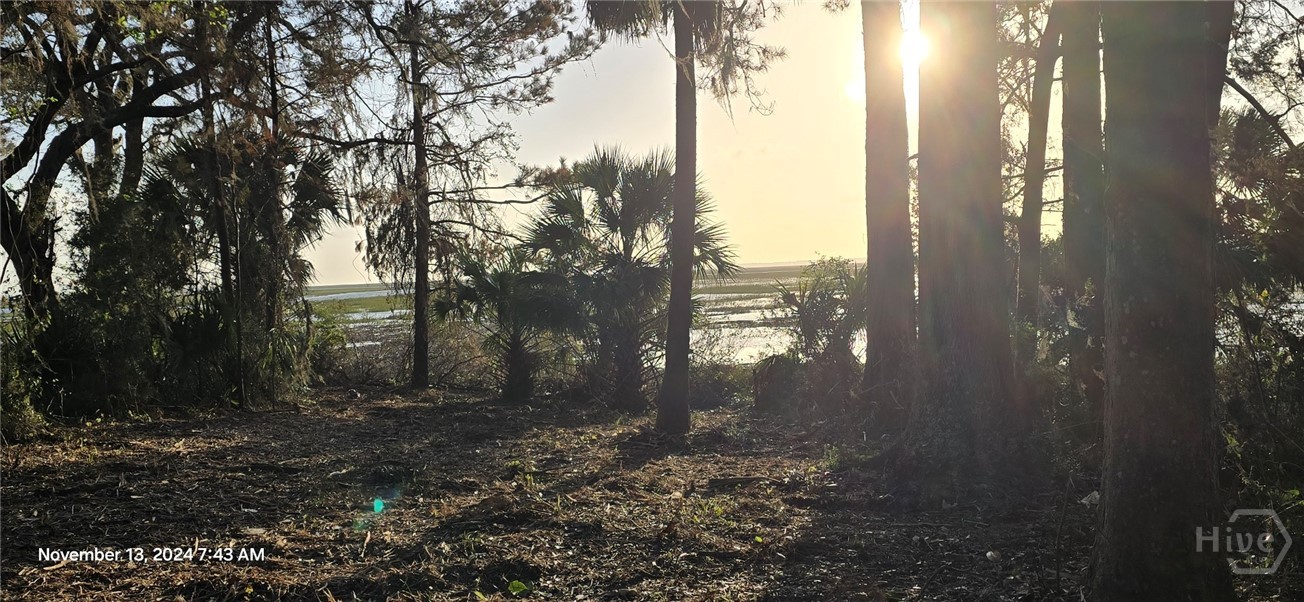 Lot 1 Youman's Road Midway, GA 31320 - Photo 6 of 10