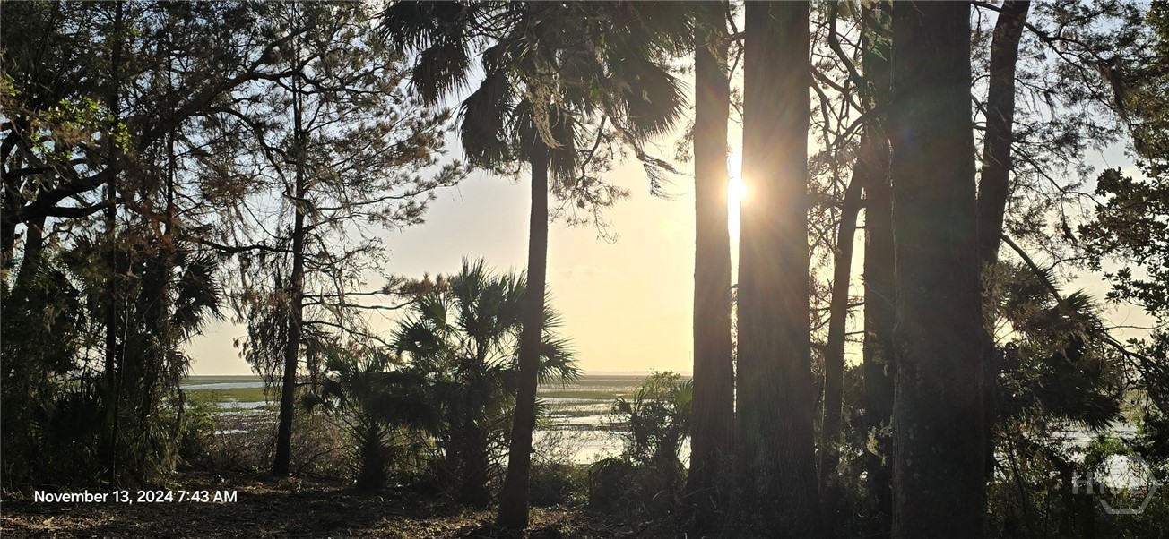 Lot 1 Youman's Road Midway, GA 31320 - Photo 7 of 10