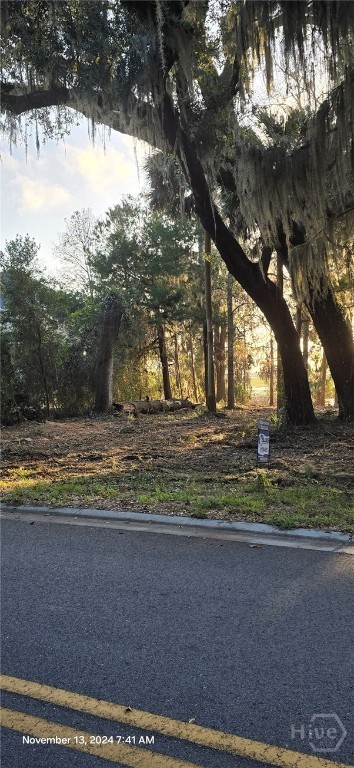 Lot 1 Youman's Road Midway, GA 31320 - Photo 8 of 10