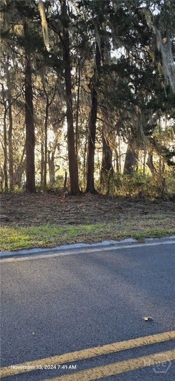 Lot 1 Youman's Road Midway, GA 31320 - Photo 9 of 10