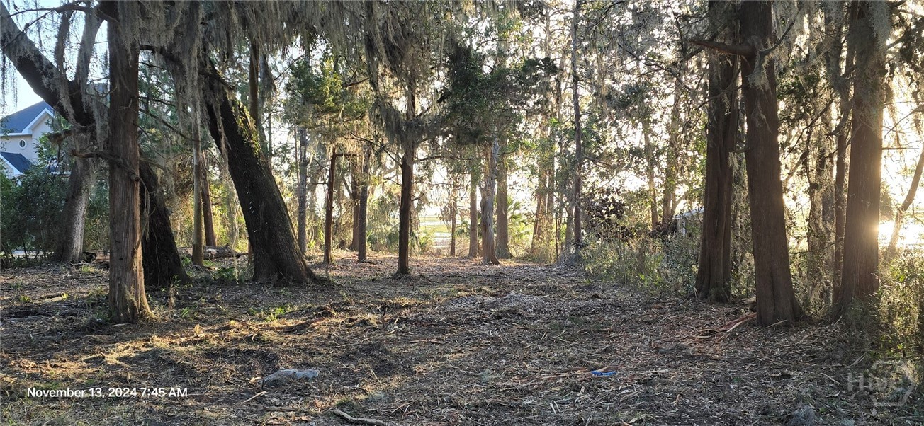 Lot 1 Youman's Road Midway, GA 31320 - Photo 10 of 10