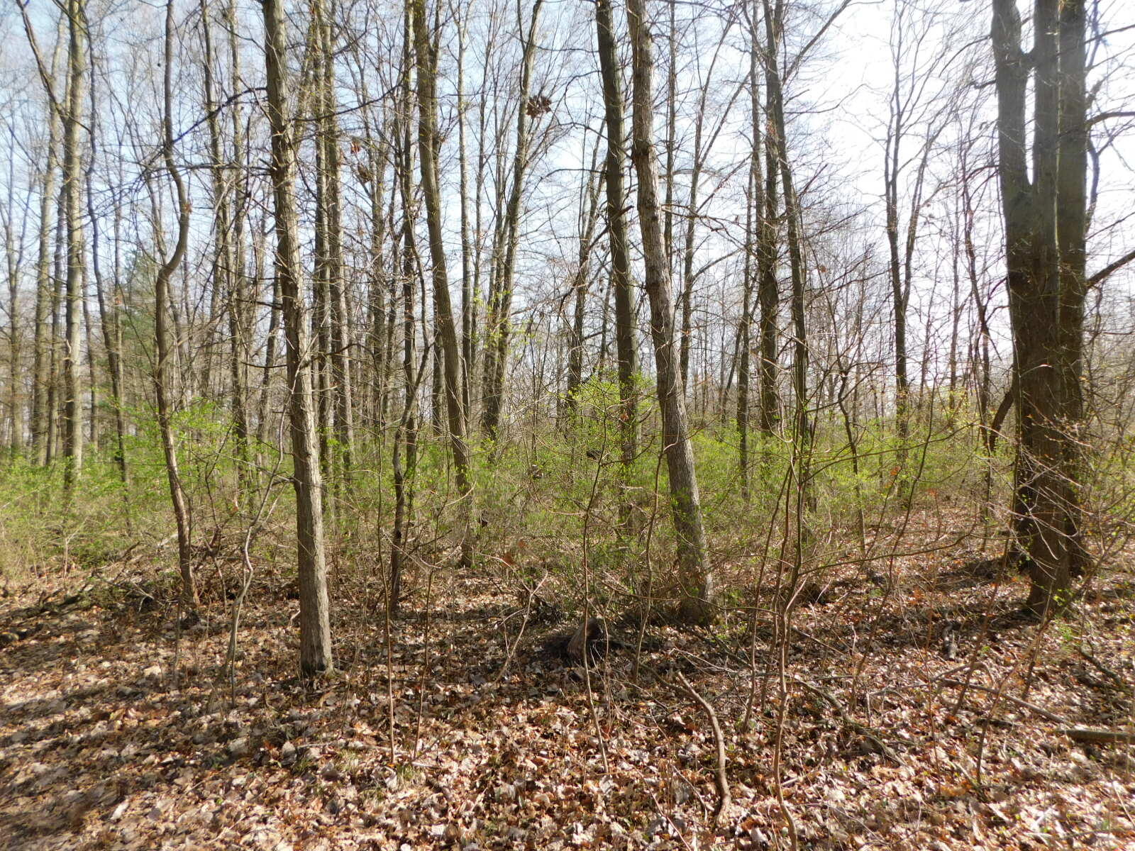 1976 Townline Road Benton Harbor, MI 49022 - Photo 17 of 28 DSCN7105