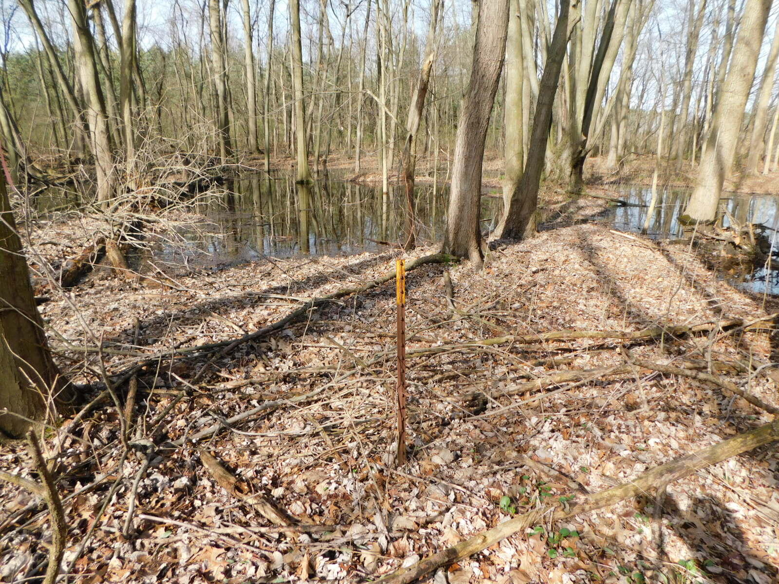 1976 Townline Road Benton Harbor, MI 49022 - Photo 19 of 28 DSCN7108
