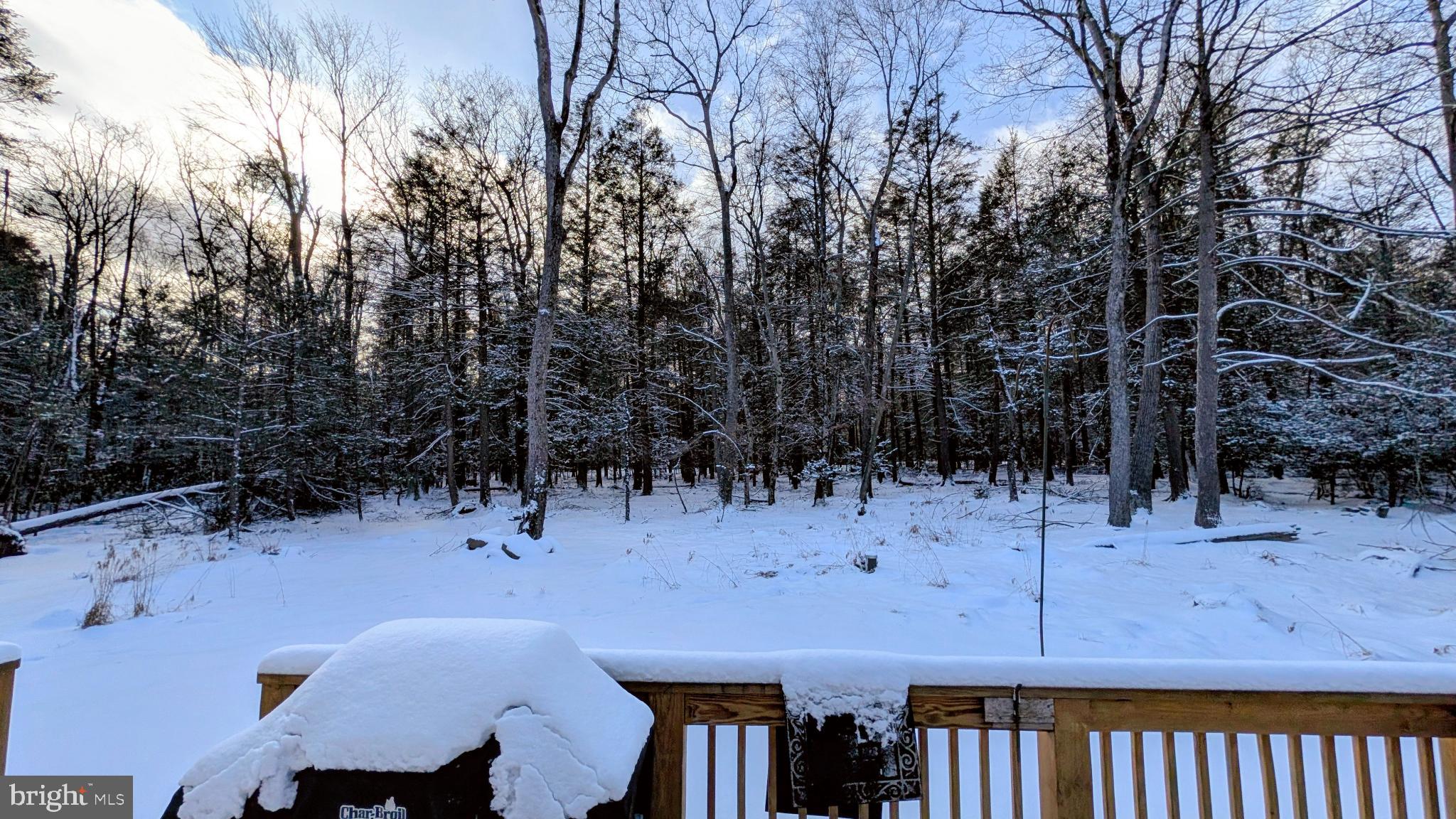 31 Rodda Road Albrightsville, PA 18210 - Photo 14 of 24 a view of a backyard and a patio