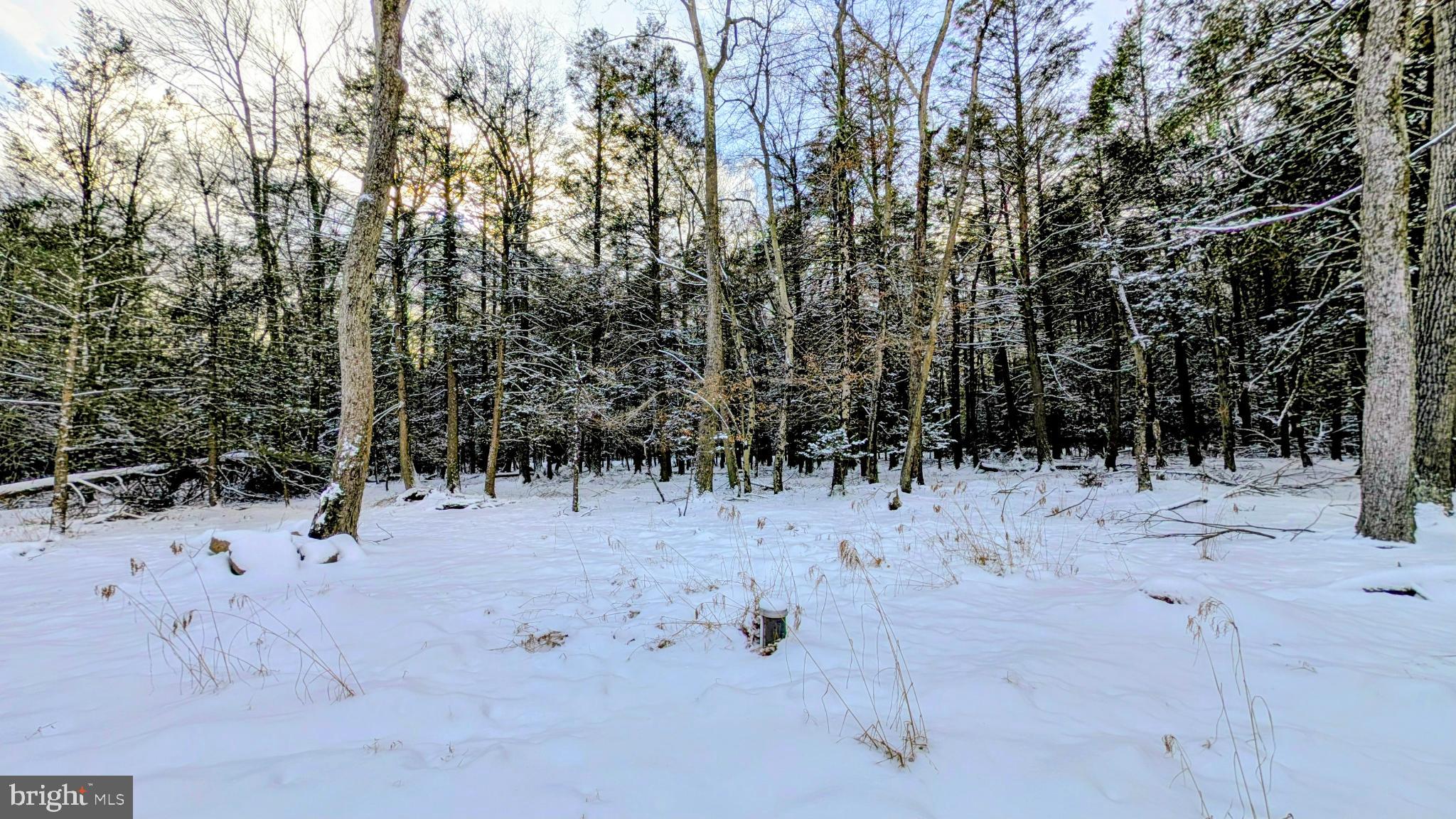 31 Rodda Road Albrightsville, PA 18210 - Photo 24 of 24