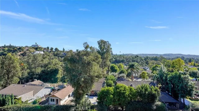 a living room with furniture potted plant and a fireplace