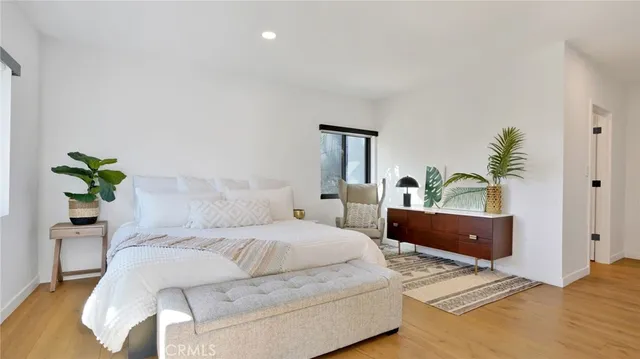 a room with a rug and a potted plant