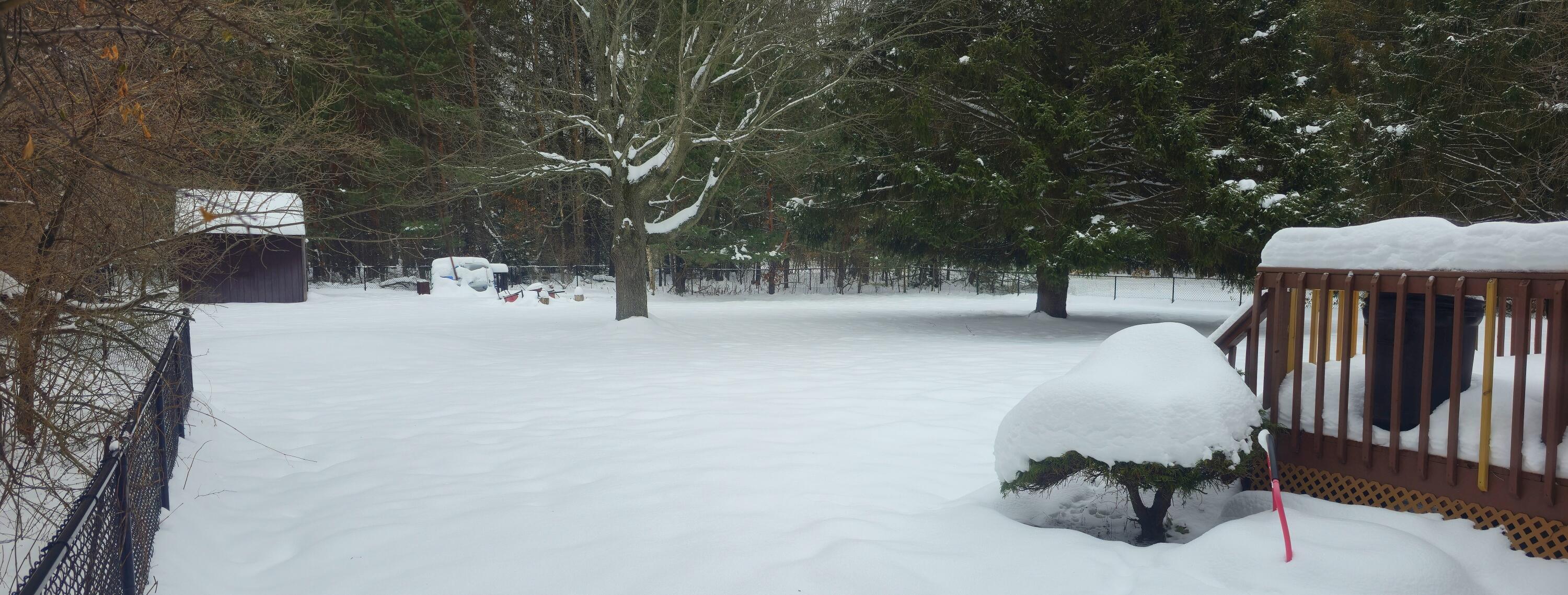 6340 Quarterline Road Spring Lake, MI 49456 - Photo 27 of 27 Back yard