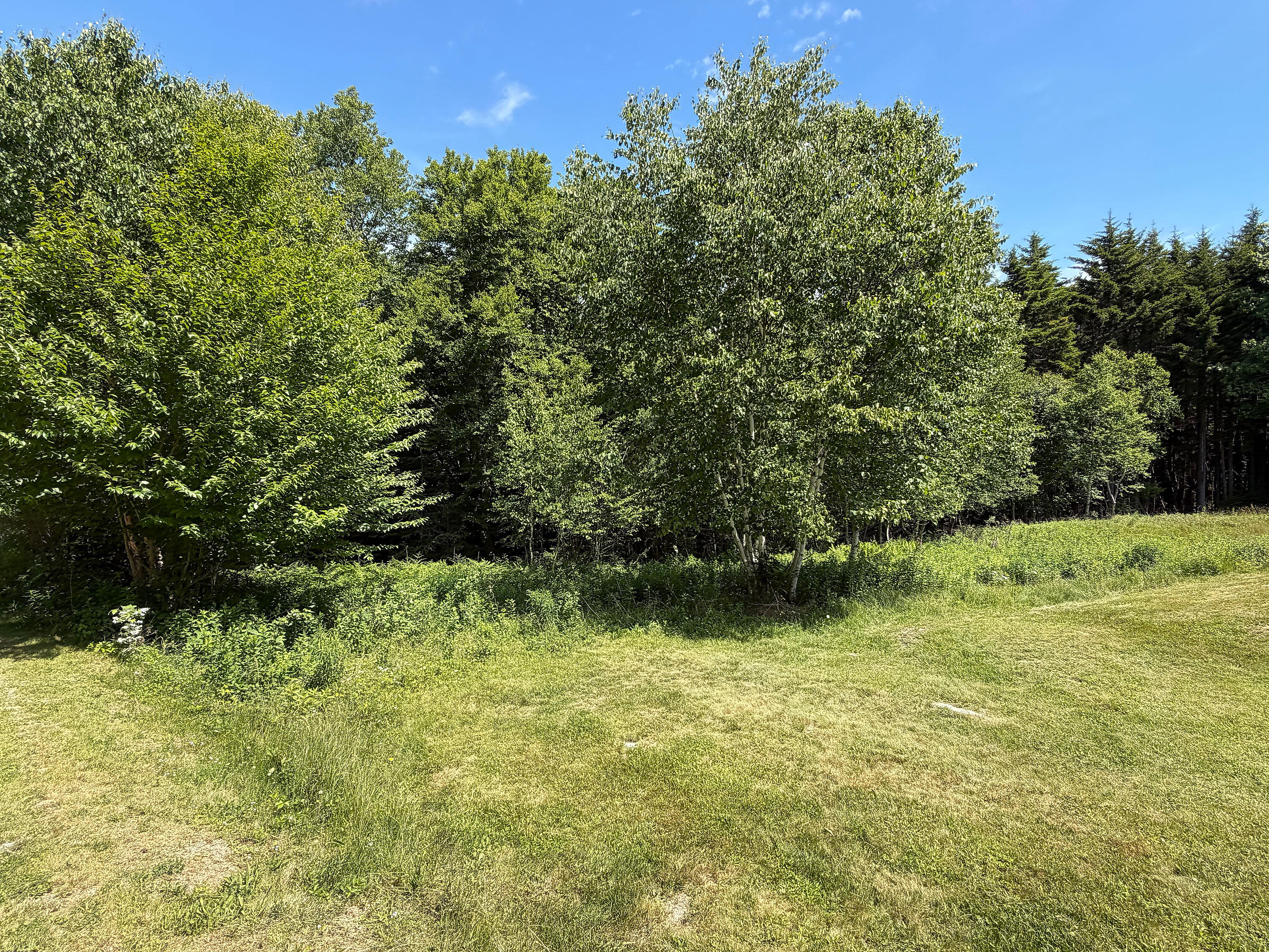 12 Lindsay's Road Deer Isle, ME 04627 - Photo 12 of 21