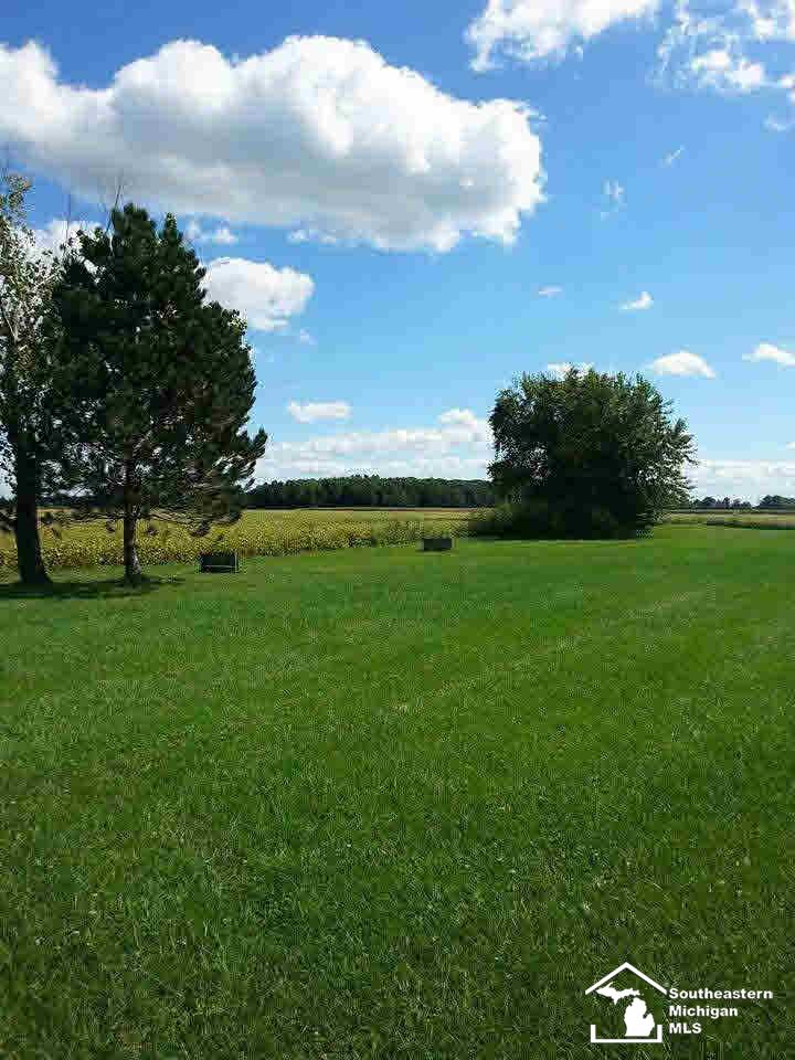 9473 Allison Road Maybee, MI 48159 - Photo 3 of 20 Horse Shoe Pit!