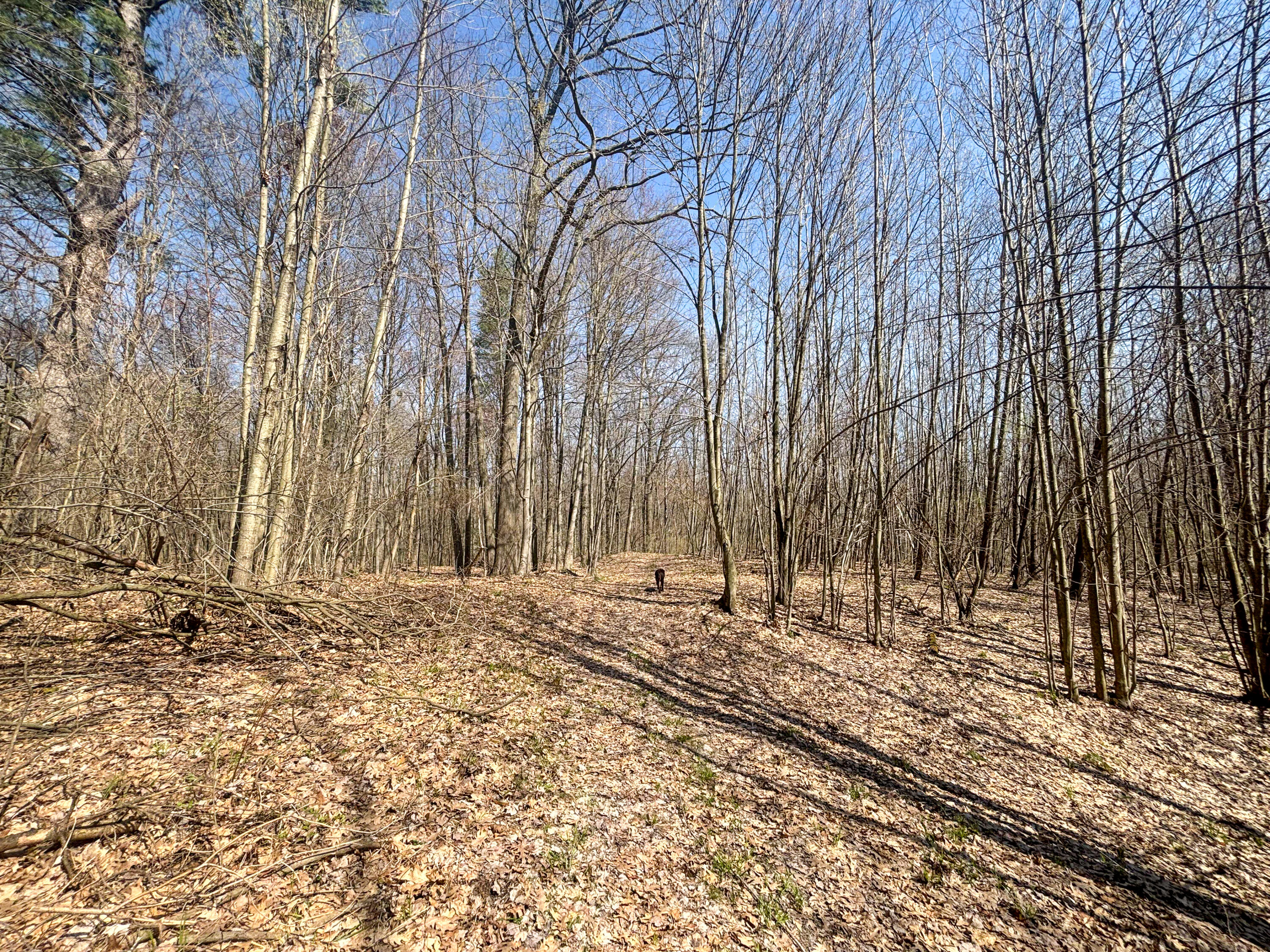 7415 East Anthony Road Branch, MI 49402 - Photo 85 of 99 IMG_2533