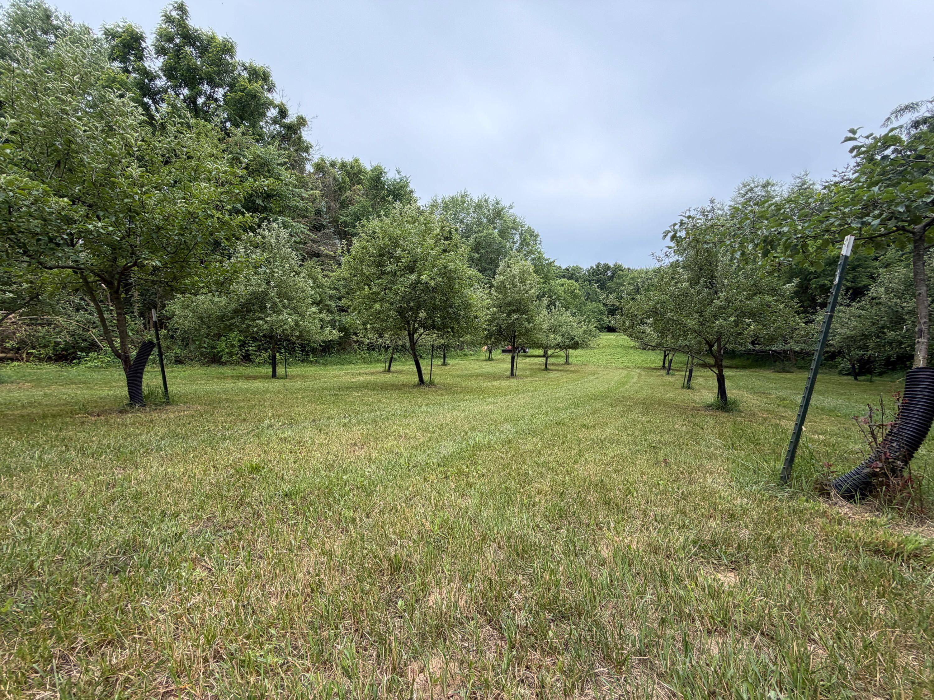52402 Oak Plains Road Marcellus, MI 49067 - Photo 21 of 59 IMG_8509