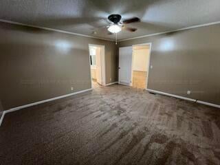 407 Robbins Road Parrish, AL 35580 - Photo 15 of 43 407-28