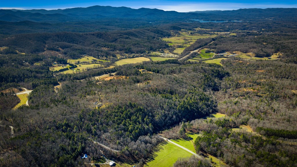 32.3 Maple Grove Road Morganton, GA 30560 - Photo 10 of 46 Gallery Image 10