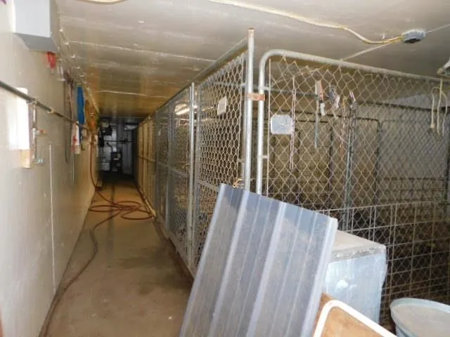 a view of backyard with plants