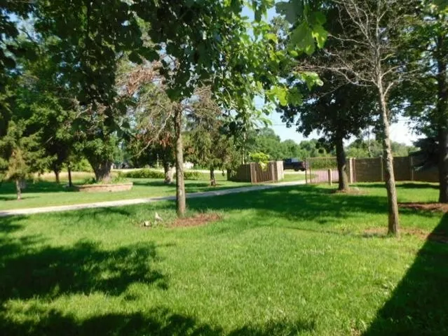 a view of a park with trees and grass