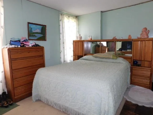 a bedroom with a bed and a dresser