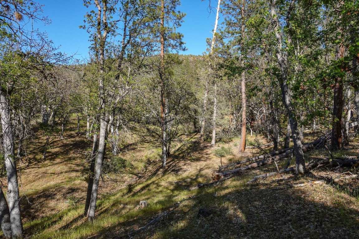0 East Road Fort Jones, CA 96032 - Photo 30 of 35 Gallery Image 30