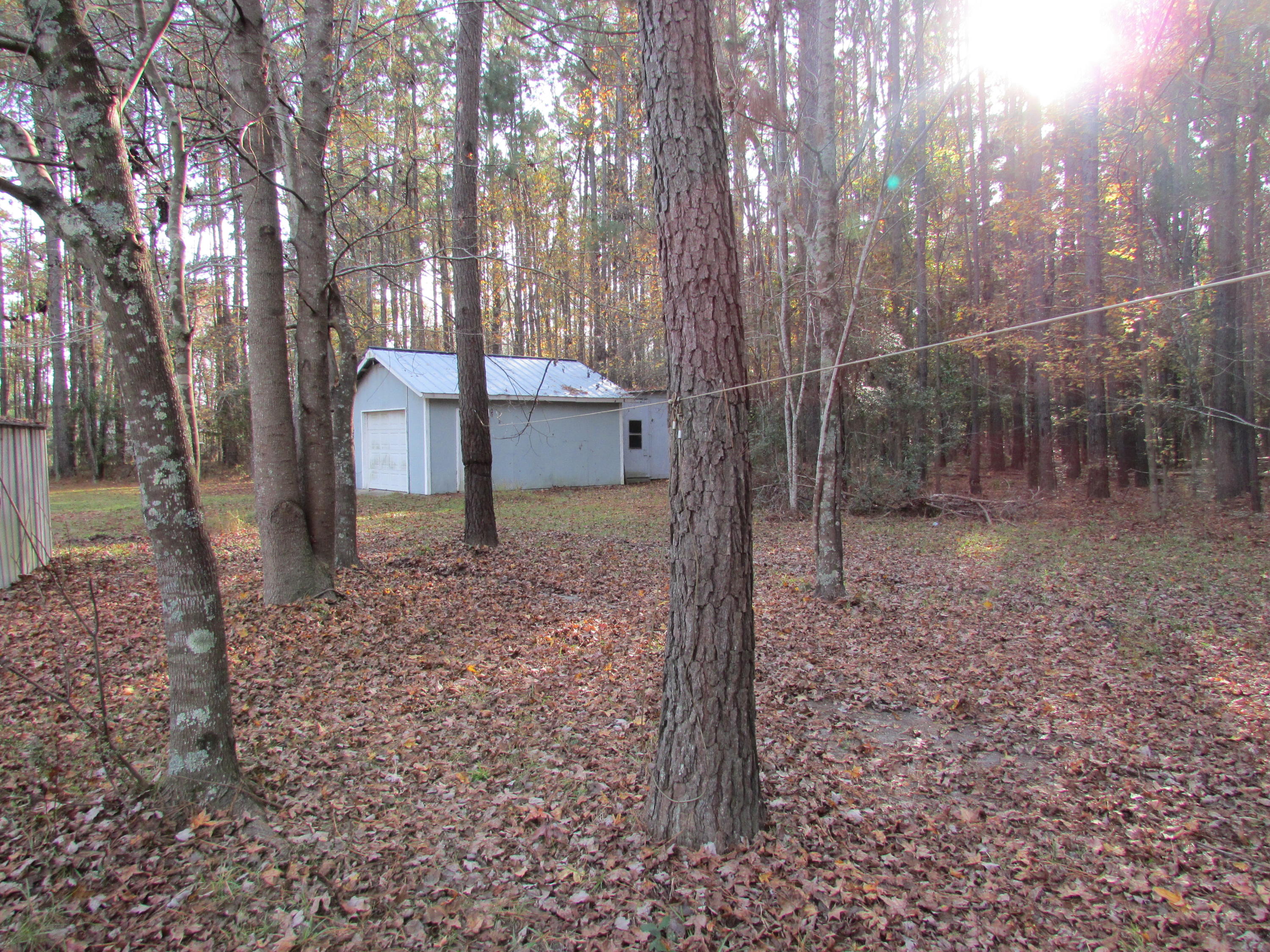 1847 Maple Ridge Road Walterboro, SC 29488 - Photo 8 of 43 IMG_0357
