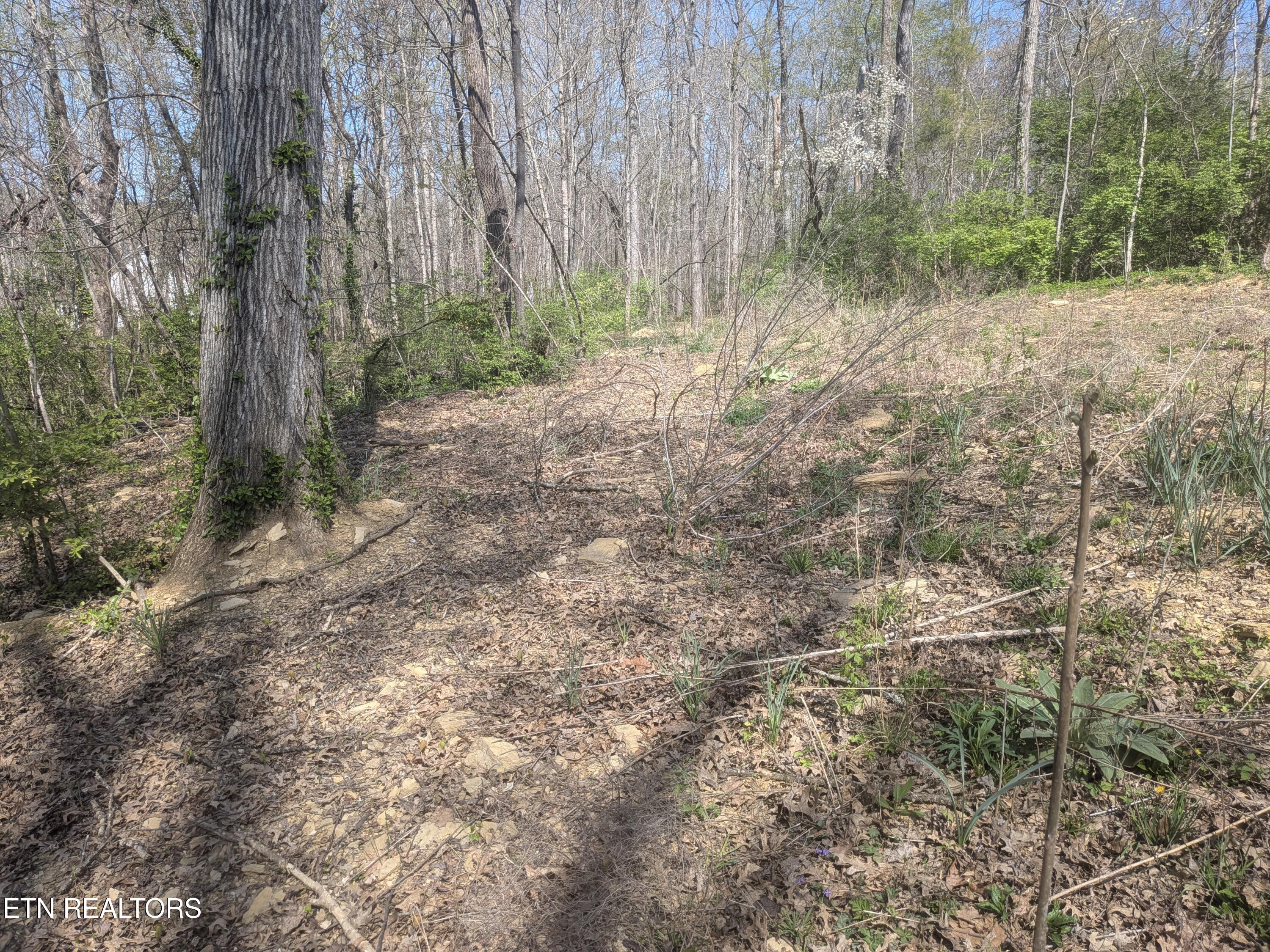 2147 Belt Road Knoxville, TN 37920 - Photo 10 of 14 PXL_20260329_184741366